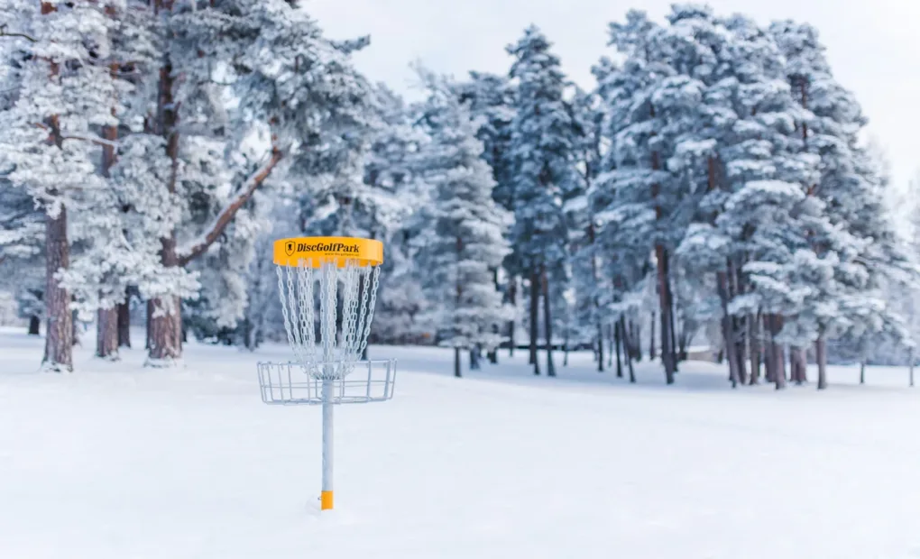 Spill discgolf om vinteren