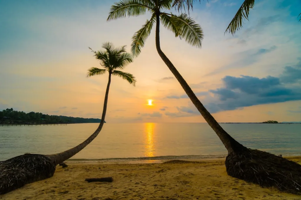 Image by lifeforstock on Freepik: Discgolf i hjertet av Thailand